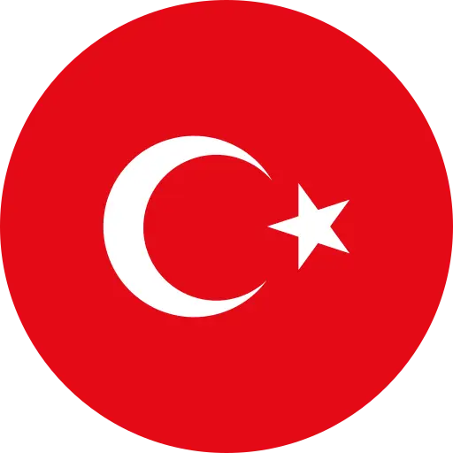 Translate to Türkçe